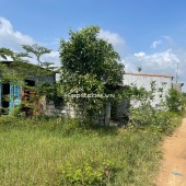 Đất Ngợp gần biển thổ cư xã Tân Bình Thị xã Lagi đường 6m chỉ 550 triệu 100m2