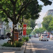 Bán gấp căn hộ TT phố Bà Triệu, Hoàn Kiếm 40m đủ công năng, gần phố, VIP, giá 6.4 tỷ. LH: 0366051369