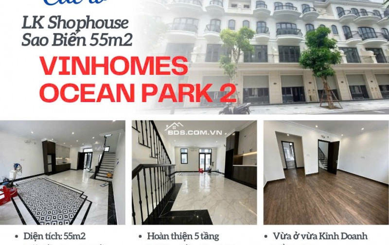 Siêu phẩm Shophouse Sao Biển giá cắt lỗ RẺ nhất Vinhomes Ocean Park 2 The Empire