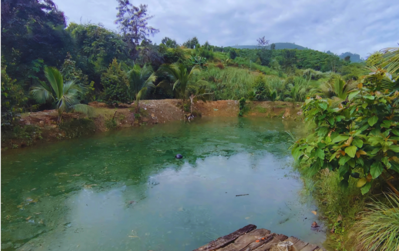 ⛔️CHỈ 270 TRIỆU/SÀO⛔️ HƠN 2 HÉC ĐẤT ĐINH TRANG THƯỢNG, DI LINH