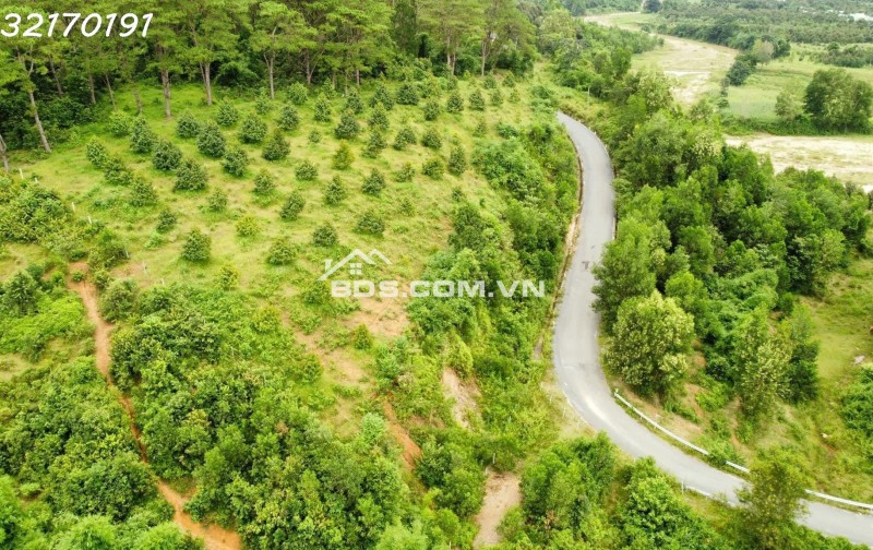 BÁN ĐẤT THỔ CƯ 216M2 - VỊ TRÍ VÀNG- TT CAM ĐỨC, H.CAM LÂM- Qh An Toàn. Đầu tư Sinh lời cao.