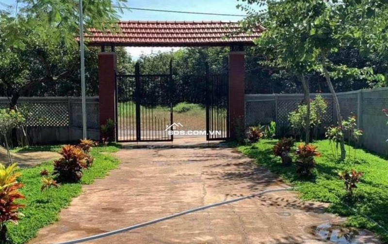 Cần tiền cho con đi XKLD bán nhà vườn 2300m2, 300 tr, có nhà cấp 4 và vườn cây trái.