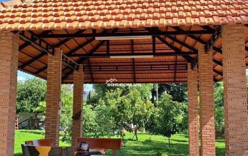 Cần tiền cho con đi XKLD bán nhà vườn 2300m2, 300 tr, có nhà cấp 4 và vườn cây trái.