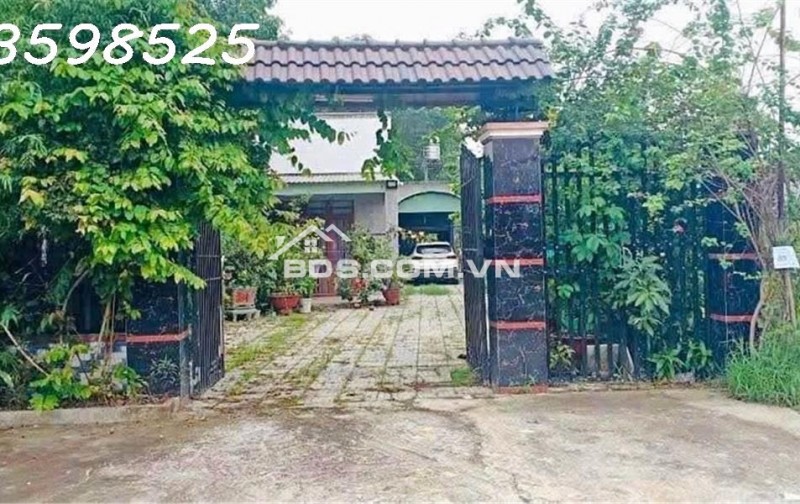 Cần chuyển chỗ ở, bán nhanh lô đất 1500m2, 280 tr, cây trái đầy đủ, 1 nhà cấp 4