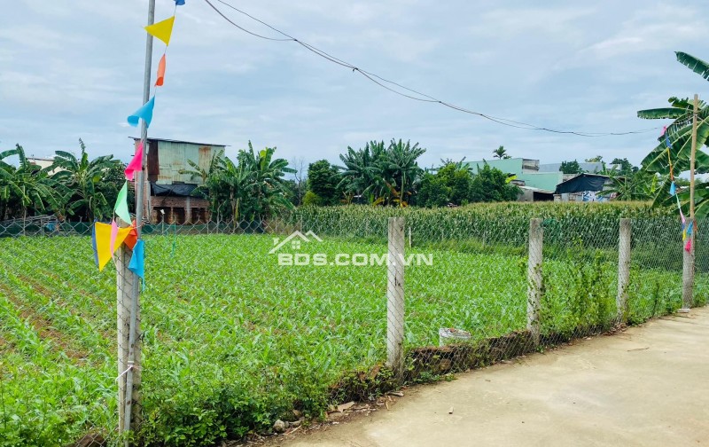 Đất Đại Cường - Đại Lộc diện tích rộng xây nhà vườn, biệt thự
