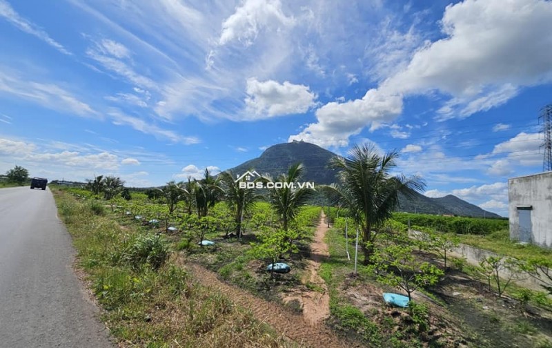 Bán lô đất thổ cư lưng tựa núi mặt hướng sông 200m2, giá 550tr view núi Bà Đen, Tây Ninh