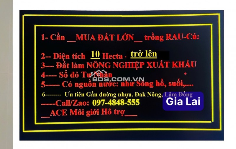 CẦN TÌM MUA ĐẤT LỚN: 10 (HECTA) - 300 (HECTA) QUANH KHU VỰC TP GIA NGHĨA. LH:0974848555.