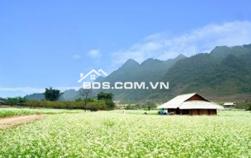 BĐS cạnh Quảng trường, cạnh chợ văn hóa 12 dân tộc