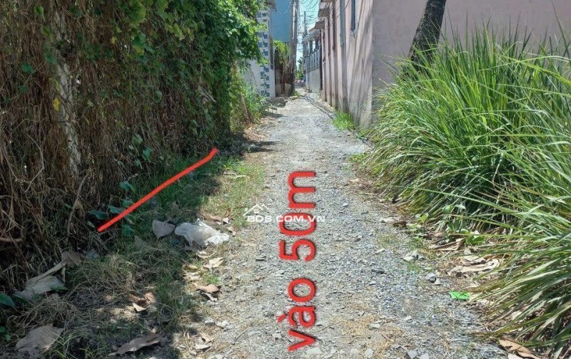 Bán đất thổ cư 247m², Long Định - Cần Đước - Long An, 1.5 tỷ, sổ đỏ