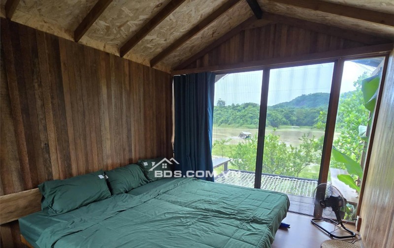 Bán đất Tiền Giang dự án Nhà Vườn Nghỉ Dưỡng Homestay, 500m2 10x50 giá chỉ 600tr, Tân Phước, Tỉnh Tiền Giang