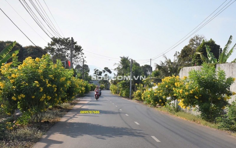 Đất Mặt Tiền Đường Nhựa Liên Huyện Bình Dương Giá Siêu Tốt