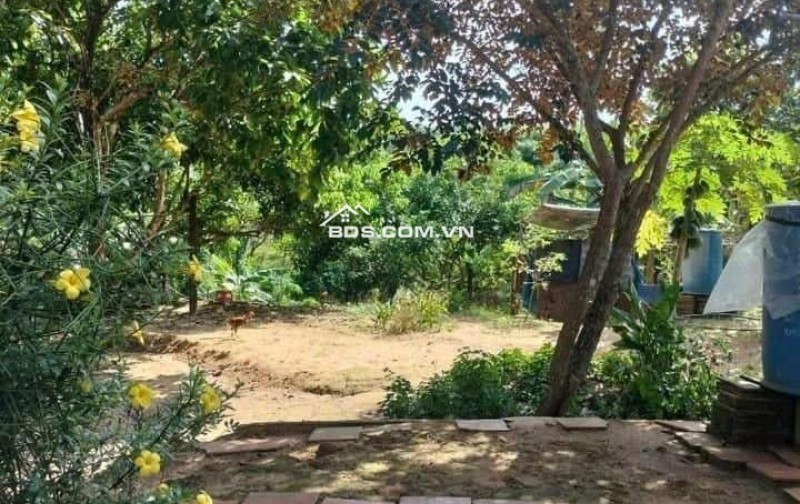 1500m2 giá 300 triệu, nhà chòi nhậu bao mát