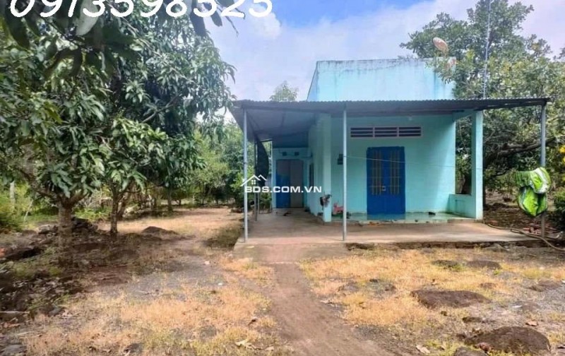 1500m2 giá 300 triệu, nhà chòi nhậu bao mát