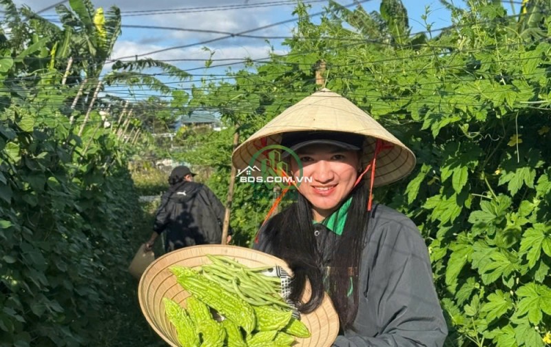 Cơ hội sở hữu đất nền view sông Đa Nhim, Phú Hội - Đức Trọng