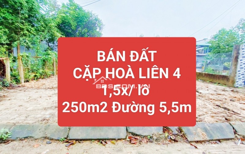 ✅✅1,6 TỶ/LÔ ⏩ CẶP ĐẤT LIỀN KỀ 1/2 NGÃ BA TÁI ĐỊNH CƯ HÒA LIÊN 4✅✅