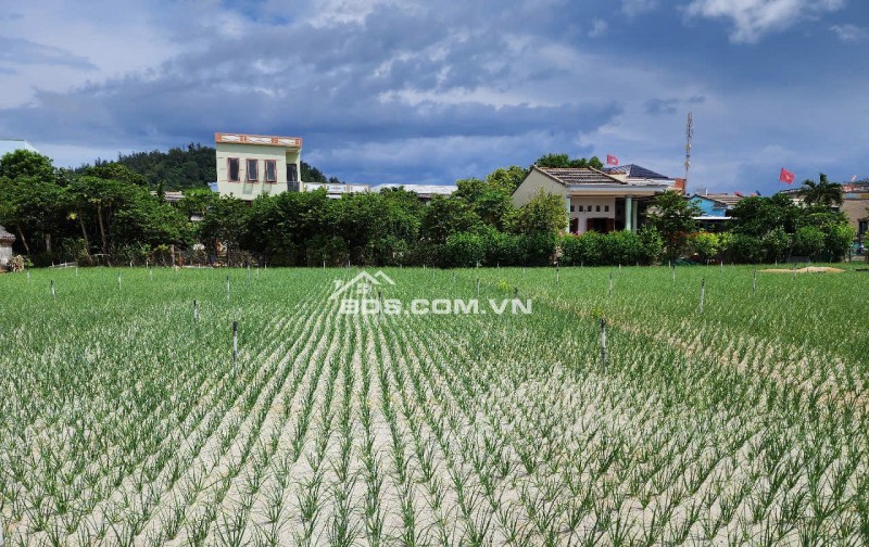 Bán đất trồng cây hàng năm tại đảo Lý Sơn, Quảng Ngãi giá siêu rẻ.