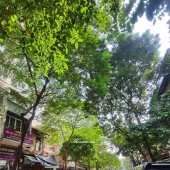 ⚜️ BÁN NHÀ MẶT PHỐ THỊNH YÊN (CHỢ TRỜI), PHỐ HUẾ, 47M2 2T MT 5.6M, SIÊU KD, CHỈ 28 TỶ  ⚜️