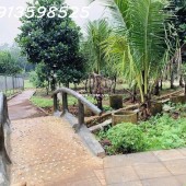 Bán nhà vườn 2000 m2, 290 tr, đường nhựa 12m