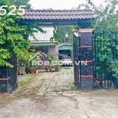Cần chuyển chỗ ở, bán nhanh lô đất 1500m2, 280 tr, cây trái đầy đủ, 1 nhà cấp 4