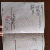 Bán đất phường Ninh Hiệp Ninh Hoà tdp16 Ninh Hiệp Ninh Hoà