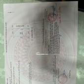 Đất Xuân Mai Bê Tông 84.5m