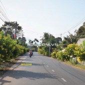 Đất Mặt Tiền Đường Nhựa Liên Huyện Bình Dương Giá Siêu Tốt
