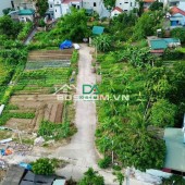 Bán Đất Đấu Giá X6 Tiên Kha Tiên Dương Đông Anh -2 mặt đường