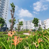 CĂN HỘ BÌNH CHÁNH BÀN GIAO TRONG TẾT CHIẾT KHẤU 15% NHẬN NHÀ HOÀN THIỆN