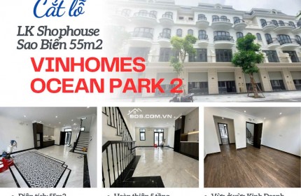 Siêu phẩm Shophouse Sao Biển giá cắt lỗ RẺ nhất Vinhomes Ocean Park 2 The Empire