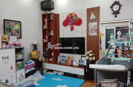 Bán Nhà Phố VIP Hồng Mai, Hai Bà Trưng 56m, 2 tầng, mt 3,8m, giá 8 tỷ