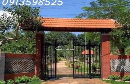 Cần tiền cho con đi XKLD bán nhà vườn 2300m2, 300 tr, có nhà cấp 4 và vườn cây trái.