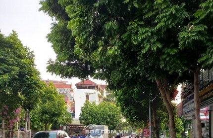 BÁN NHÀ MẶT PHỐ THANH AM-LONG BIÊN 9.95 TỶ 40m, 4 TẦNG DÂN XÂY, Ô TÔ TRÁNH, KINH DOANH ĐỈNH.