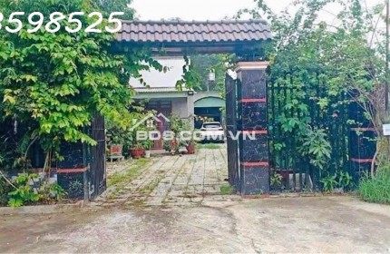 Cần chuyển chỗ ở, bán nhanh lô đất 1500m2, 280 tr, cây trái đầy đủ, 1 nhà cấp 4