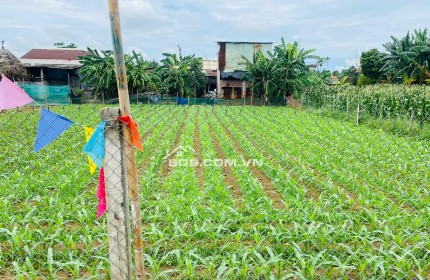 Đất Đại Cường - Đại Lộc diện tích rộng xây nhà vườn, biệt thự