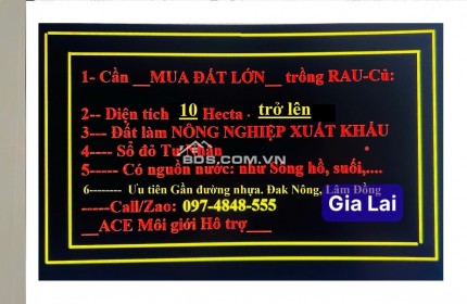 CẦN TÌM MUA ĐẤT LỚN: 10 (HECTA) - 300 (HECTA) QUANH KHU VỰC TP GIA NGHĨA. LH:0974848555.