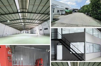 Cho thuê kho xưởng 1500m2 pccc tự động, Tân Thới Nhất Quận 12