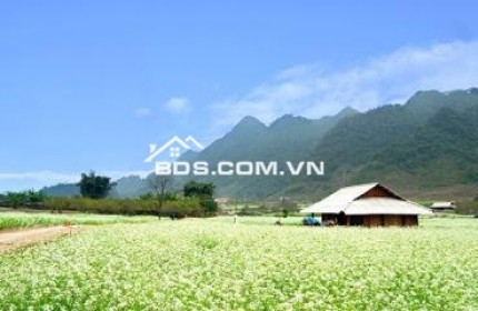 BĐS cạnh Quảng trường, cạnh chợ văn hóa 12 dân tộc