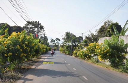 Đất Mặt Tiền Đường Nhựa Liên Huyện Bình Dương Giá Siêu Tốt