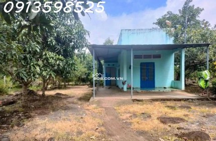 1500m2 giá 300 triệu, nhà chòi nhậu bao mát