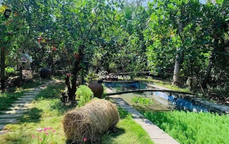 kẹt tiền  bán lỗ 3500 m2. giá 310tr đường 10m, có nhà vườn nhỏ.