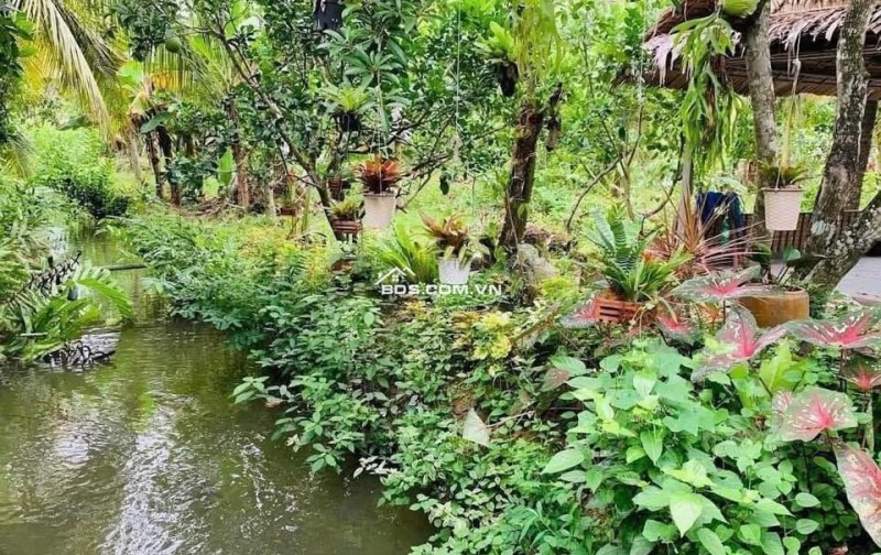 kẹt tiền  bán lỗ 3500 m2. giá 310tr đường 10m, có nhà vườn nhỏ.