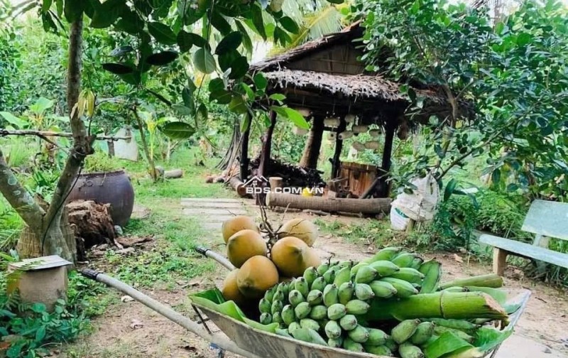 kẹt tiền  bán lỗ 3500 m2. giá 310tr đường 10m, có nhà vườn nhỏ.