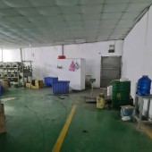 Cho thuê nhà xưởng ngành dệt may 1700m2 Thạnh Lộc Quận 12