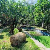 kẹt tiền  bán lỗ 3500 m2. giá 310tr đường 10m, có nhà vườn nhỏ.