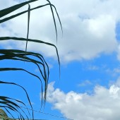 Cần Giuộc – Nhà phố 2 phòng ngủ, 1 phòng khách, giá rẻ