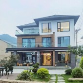 Đất View Thông Hoàng Hoa Thám. -p10 Đà Lạt 500m2 view thông cực đỉnh chóp khách iu ơi