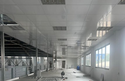 Cho thuê kho xưởng 2250m2 1/ Phan Huy Ích Gò Vấp