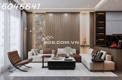 Bán nhà phố Lò Đúc, Lô góc, Kinh doanh 45M x 5T MT 8m 7.6 tỷ