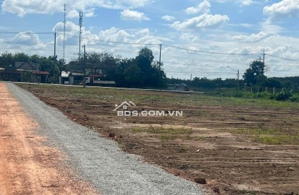 [TRÁNH MẤT TH. GIAN] CẦN TIỀN BÁN 1207M2 ĐẤT NGAY KCN, A/C THIỆN CHÍ THÌ ĐI XEM. GIÁ 195TR