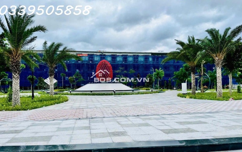 Tỏa Sáng Cùng Premium Ocean Gate: 386 ngôi nhà phố gần kề